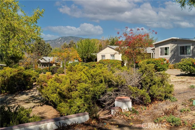 MLS #SW25244011 image #42