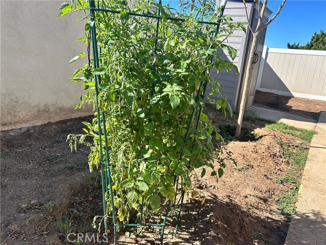 MLS #SW25244042 image #22