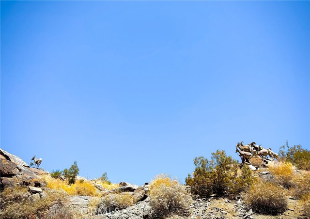 MLS #SW25244399 image #39