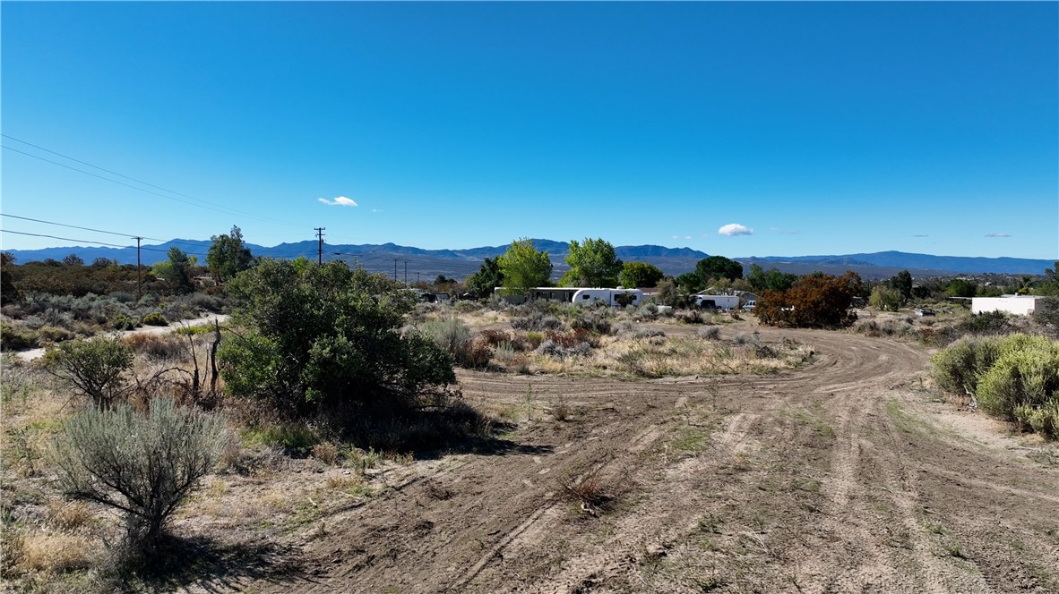 MLS #SW25244771 image #11