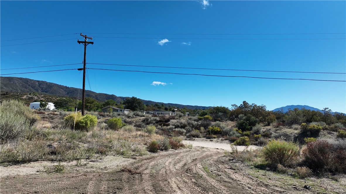 MLS #SW25244771 image #13