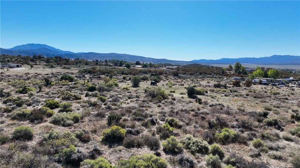 MLS #SW25244771 image #7