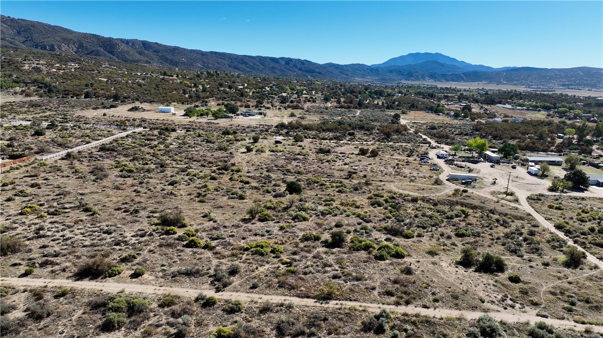 MLS #SW25244772 image #6