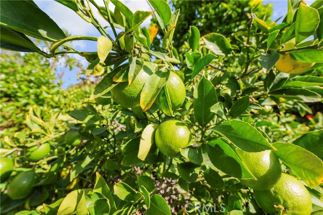 MLS #SW25245273 image #61