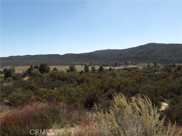 MLS #SW25245774 image #3