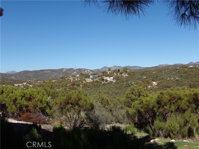 MLS #SW25245774 image #30