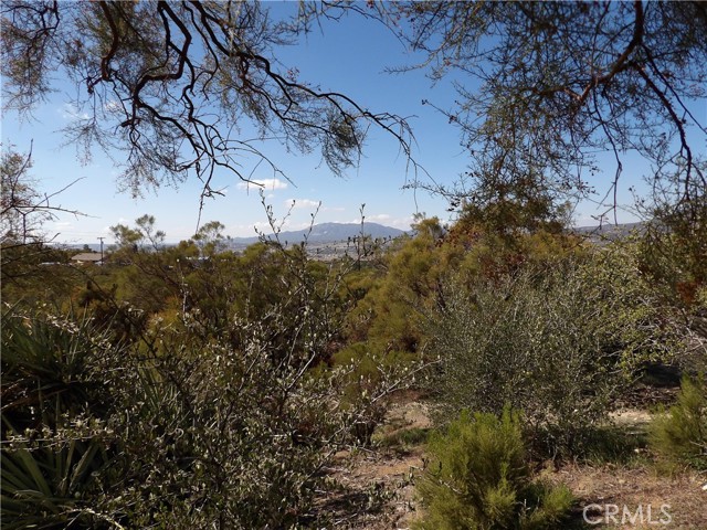 MLS #SW25245774 image #36