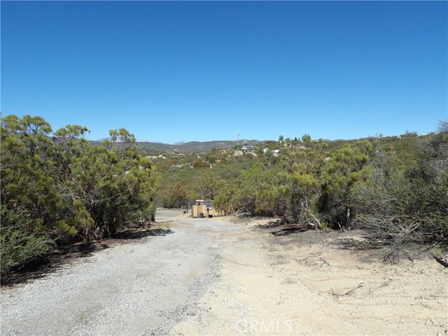 MLS #SW25245774 image #6