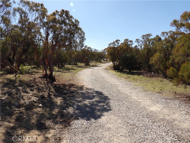 MLS #SW25245774 image #7