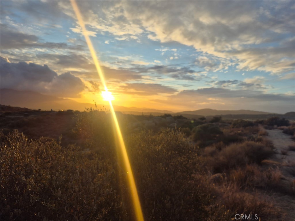 MLS #SW25246207 image #0