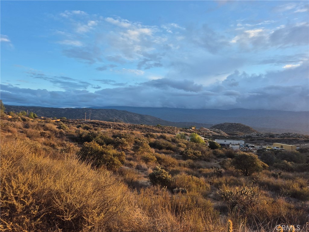 MLS #SW25246207 image #1