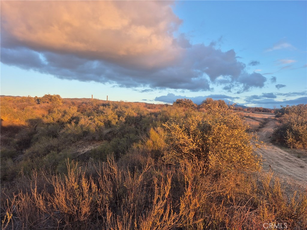 MLS #SW25246207 image #3