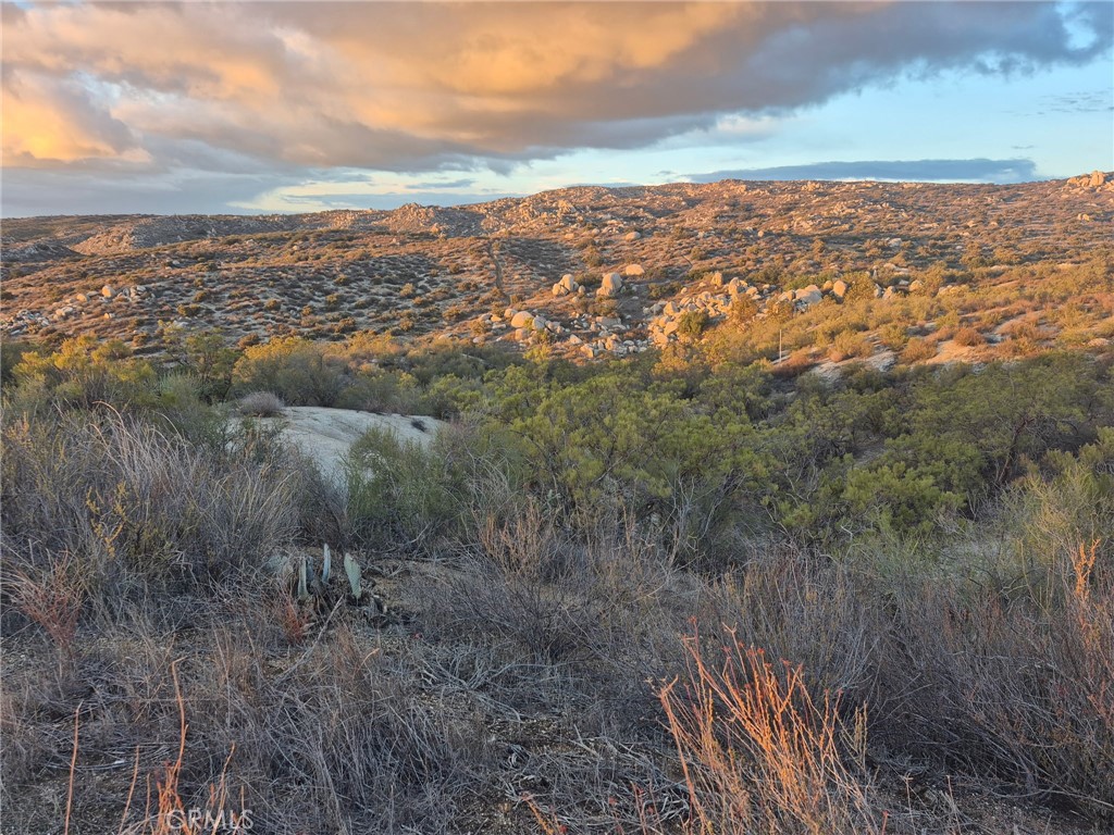 MLS #SW25246207 image #5