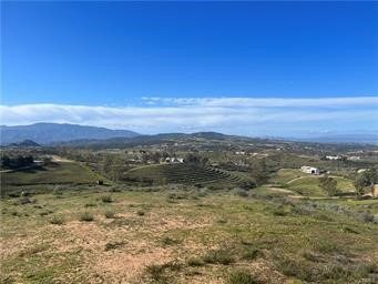 MLS #SW25246753 image #2