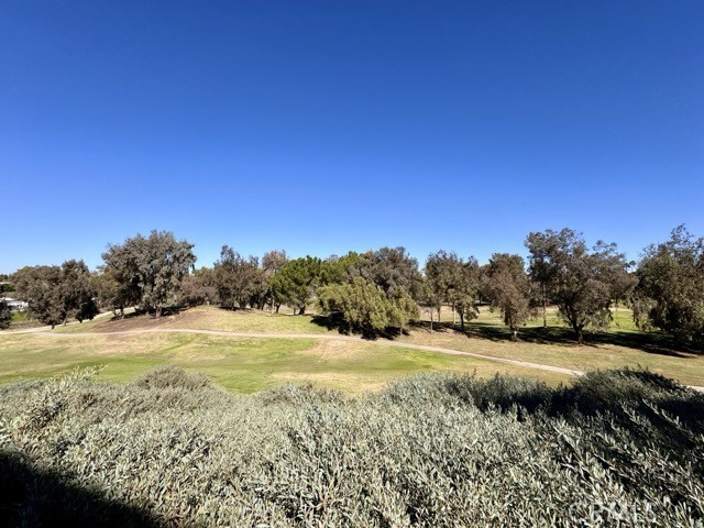 MLS #SW25248249 image #53