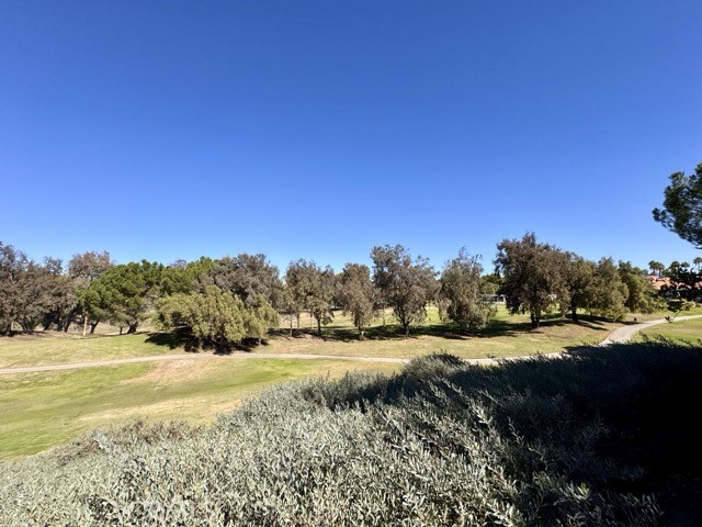 MLS #SW25248249 image #55