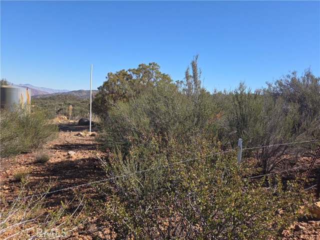 MLS #SW25248553 image #10