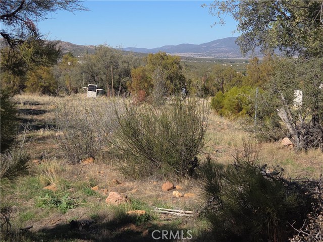 MLS #SW25248553 image #11