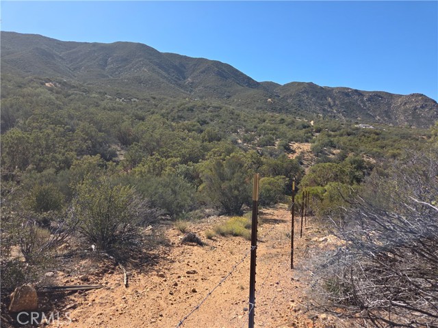 MLS #SW25248553 image #12