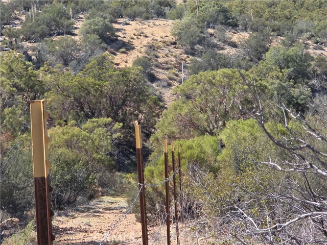 MLS #SW25248553 image #13