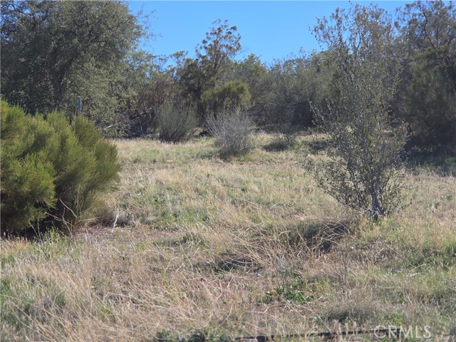 MLS #SW25248553 image #14