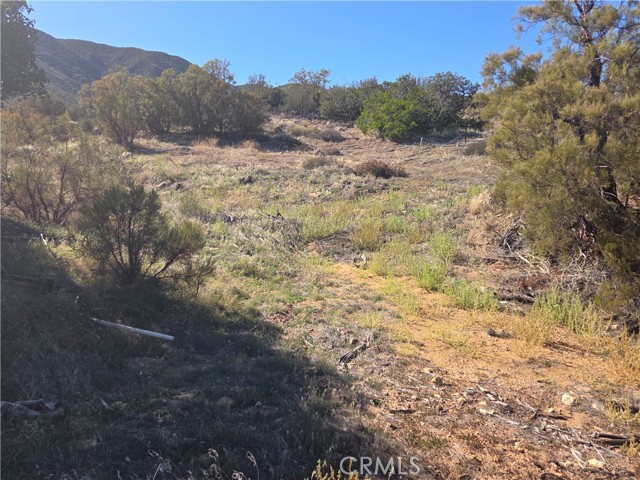 MLS #SW25248553 image #2