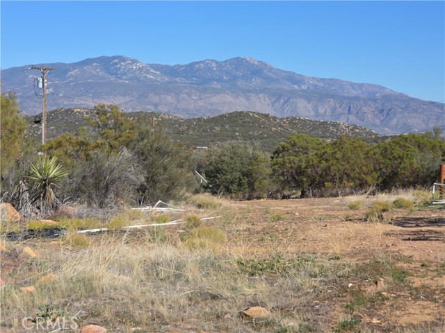 MLS #SW25248553 image #3