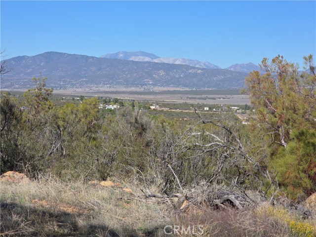 MLS #SW25248553 image #4