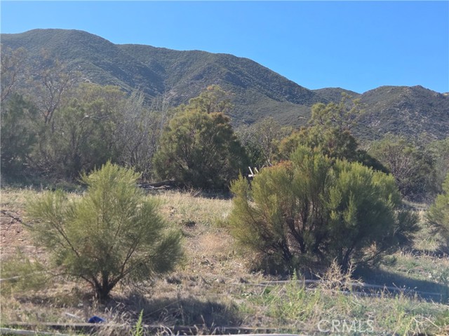 MLS #SW25248553 image #5