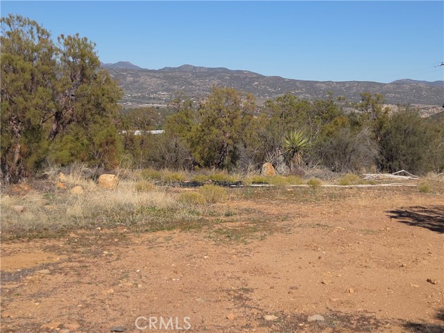 MLS #SW25248553 image #6