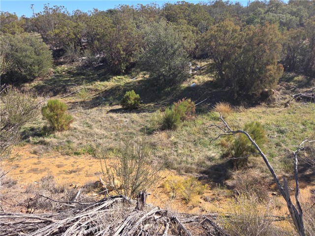 MLS #SW25248553 image #9