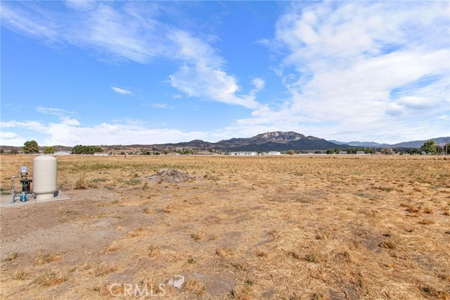 MLS #SW25249750 image #14