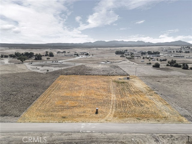 MLS #SW25249750 image #20