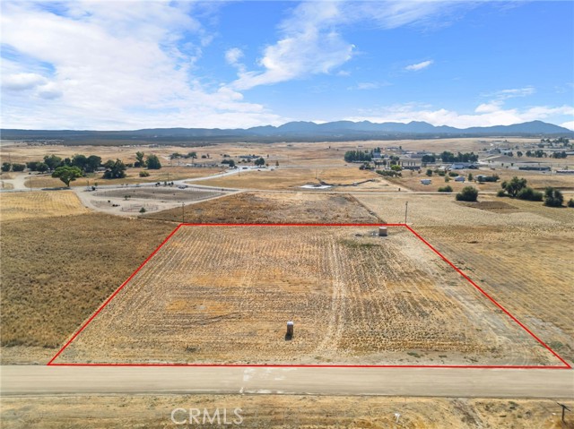 MLS #SW25249750 image #21