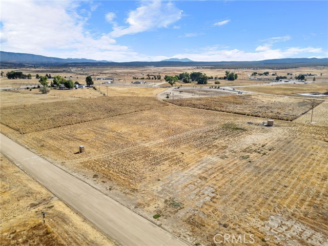 MLS #SW25249750 image #7