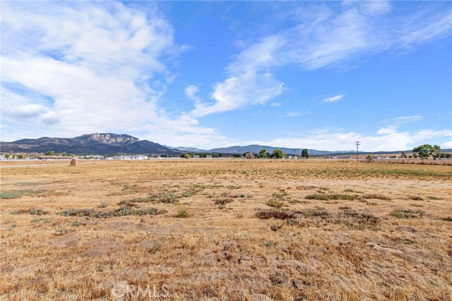 MLS #SW25249750 image #9