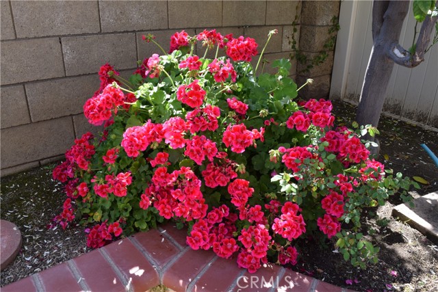 MLS #SW25249765 image #16