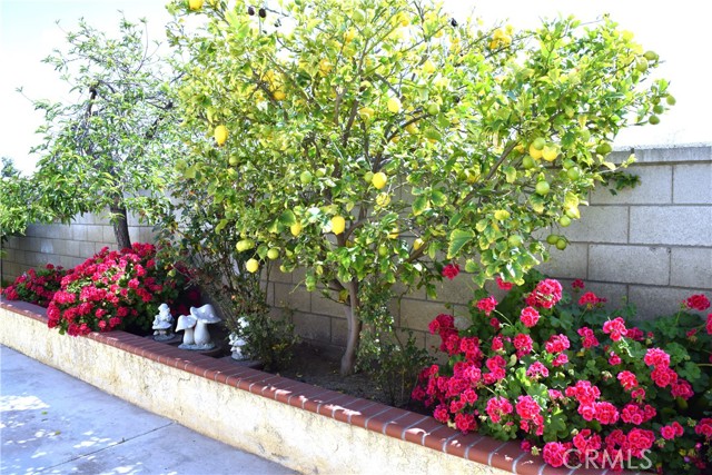 MLS #SW25249765 image #18