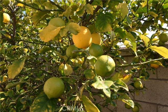 MLS #SW25249765 image #19