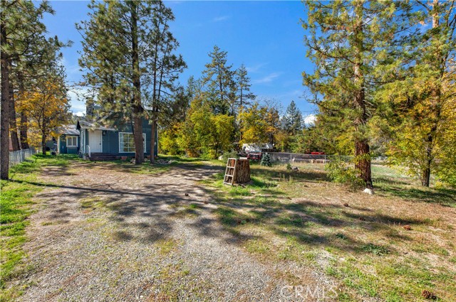 MLS #SW25250000 image #4