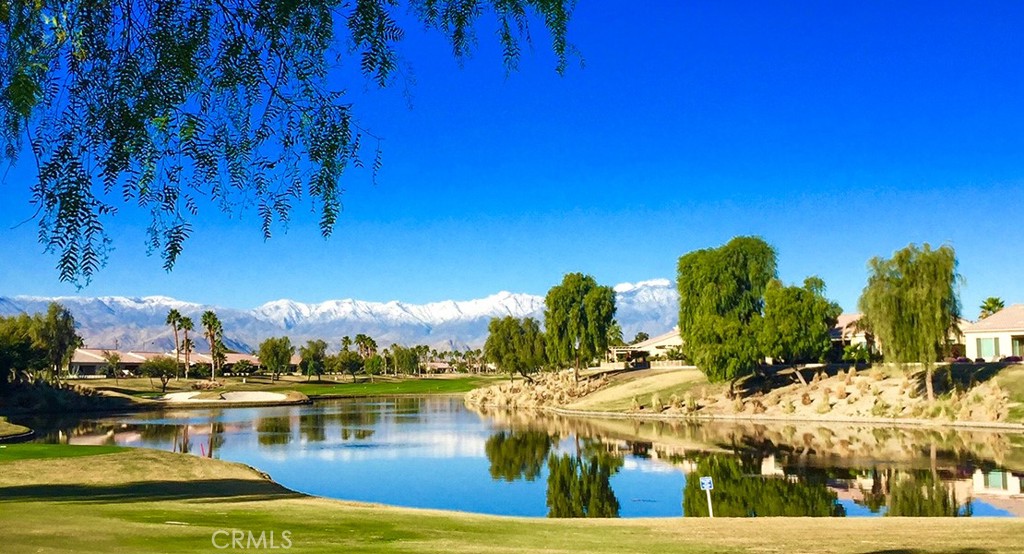 MLS #SW25251514 image #46