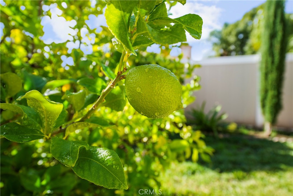 MLS #SW25251609 image #32