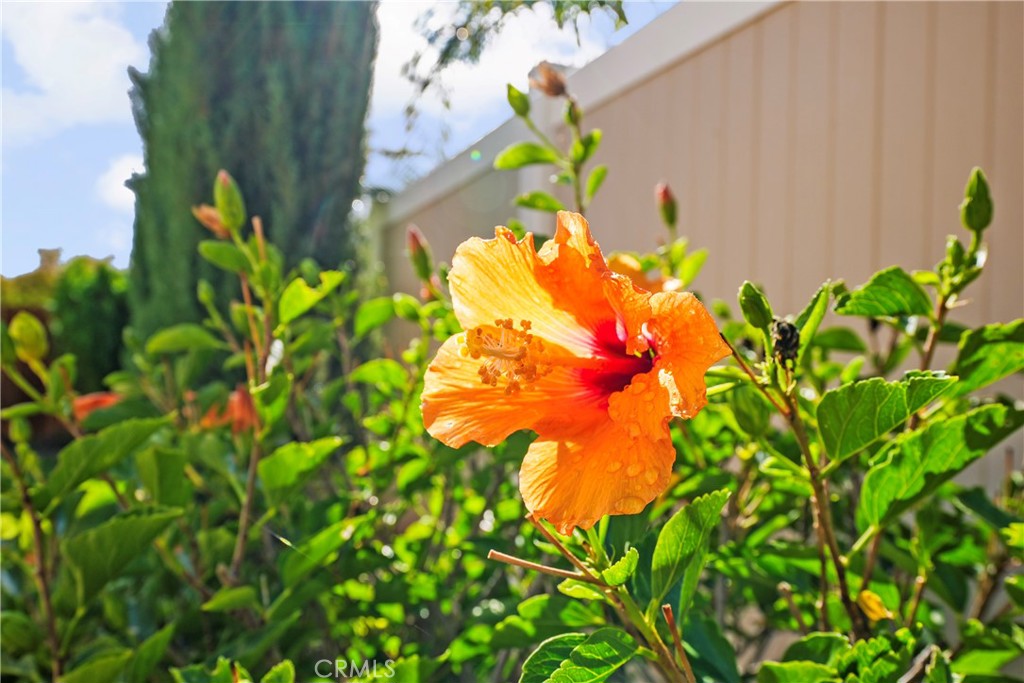 MLS #SW25251609 image #33