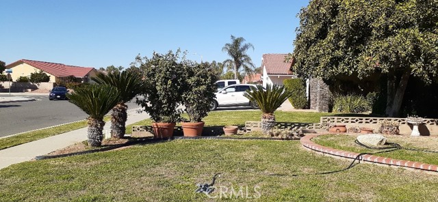 MLS #SW25252073 image #5