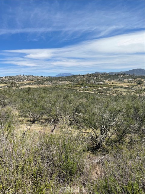 MLS #SW25252157 image #1