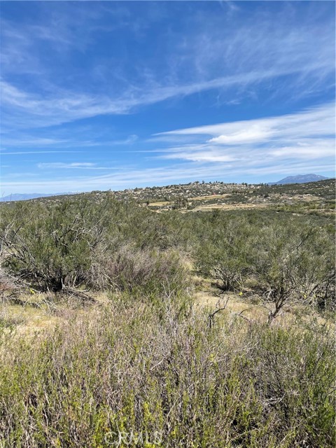 MLS #SW25252157 image #2