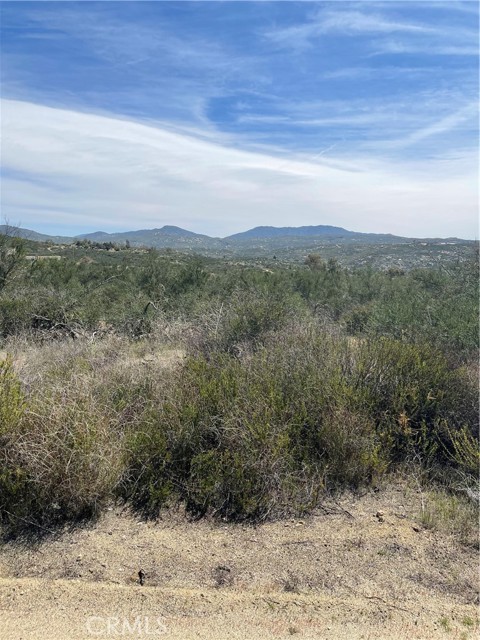 MLS #SW25252157 image #3