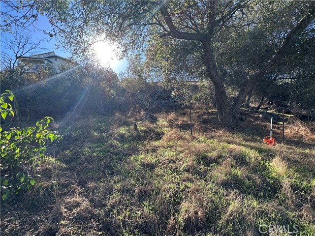 MLS #SW25252256 image #17