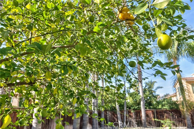 MLS #SW25253206 image #53