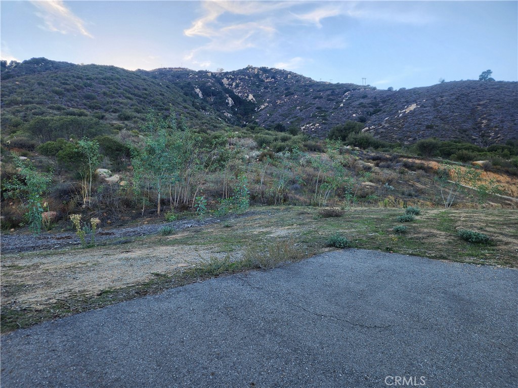 MLS #SW25253650 image #2